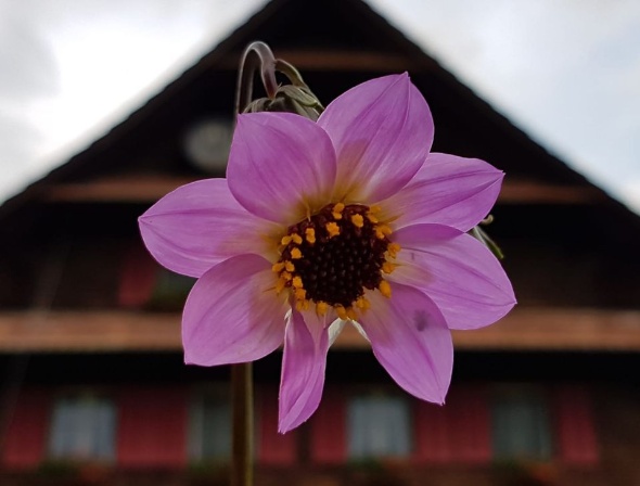 64898751 2801398203220672 1680742271974113280 o