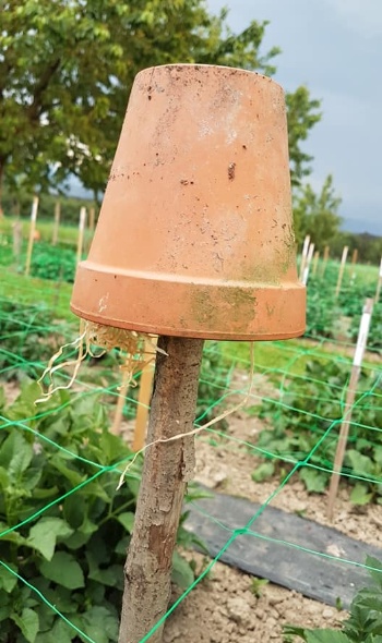 65052010 2801400479887111 1502568092025225216 n