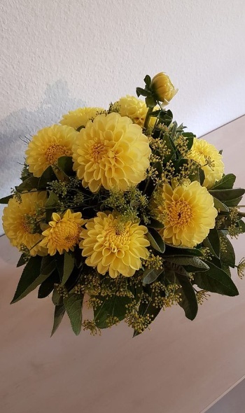 66752112 2851510371542788 8059472282306740224 o 66752112 2851510371542788 8059472282306740224 o