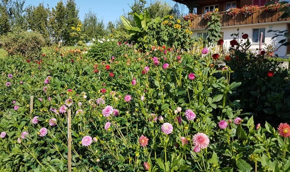 69575882 2933923773301447 6747963087434809344 n 69575882 2933923773301447 6747963087434809344 n