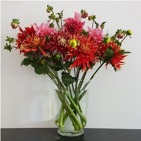 70880273 2981958528497971 6061920621145620480 o 70880273 2981958528497971 6061920621145620480 o