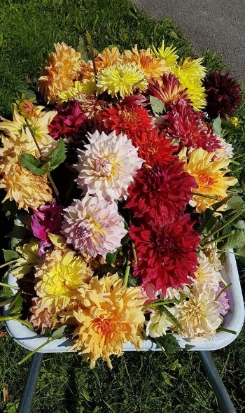 71481667 2988183341208823 3586310388083326976 o 71481667 2988183341208823 3586310388083326976 o