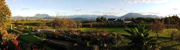 72158200 3003976416296182 4024596794024394752 o 72158200 3003976416296182 4024596794024394752 o