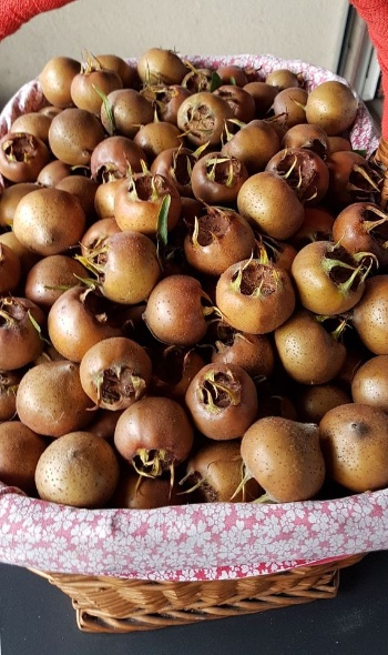 72592987 3043609712332852 1837359800610979840 o 72592987 3043609712332852 1837359800610979840 o