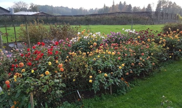 74893731 3051346128225877 7750115833904365568 o 74893731 3051346128225877 7750115833904365568 o