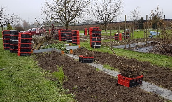 75513328 3125997577427398 8651827853874167808 n