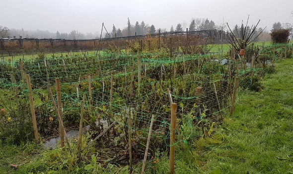 75540258 3099913073369182 4422370134966927360 n 75540258 3099913073369182 4422370134966927360 n