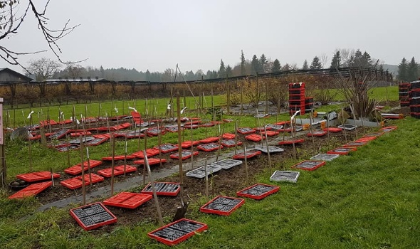 76269784 3125997470760742 1201222870026420224 n