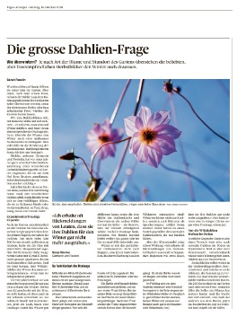 Tagesanzeiger Tagesanzeiger