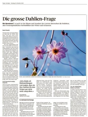 Tagesanzeiger