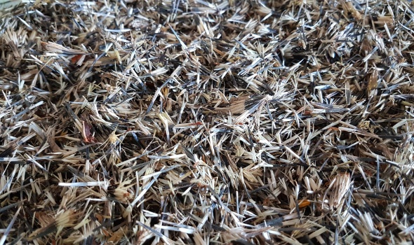 schneckenfutter schneckenfutter