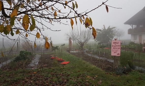 125511478 4133384706688675 1727649649751607603 n