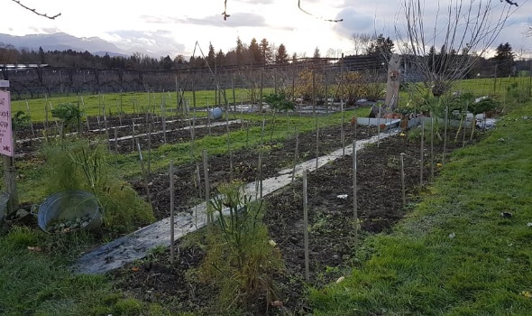 125870818 4128153687211777 3250749699613074025 n