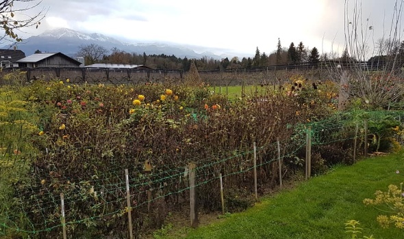 125888117 4128153603878452 8161171190840335421 n