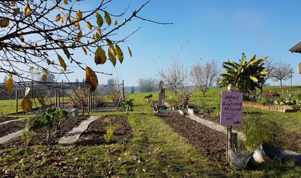 126207621 4133384953355317 8933530983682081064 n