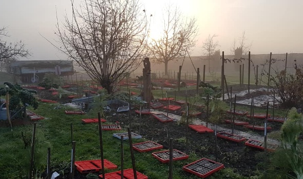 126335504 4133384790022000 7760847791454865006 n