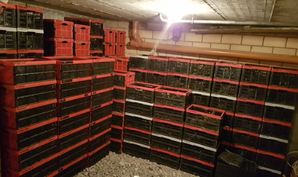 127207982 4148682765158869 4409102603087648558 o 127207982 4148682765158869 4409102603087648558 o