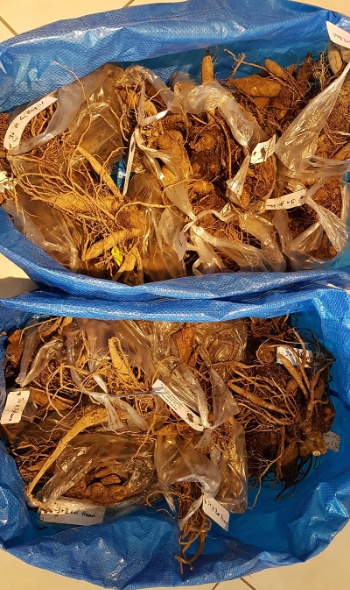 127218193 4153722554654890 4116025428715556858 o 127218193 4153722554654890 4116025428715556858 o