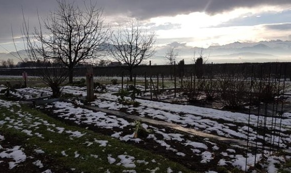 129775956 4179765592050586 3057694586452154144 n 129775956 4179765592050586 3057694586452154144 n