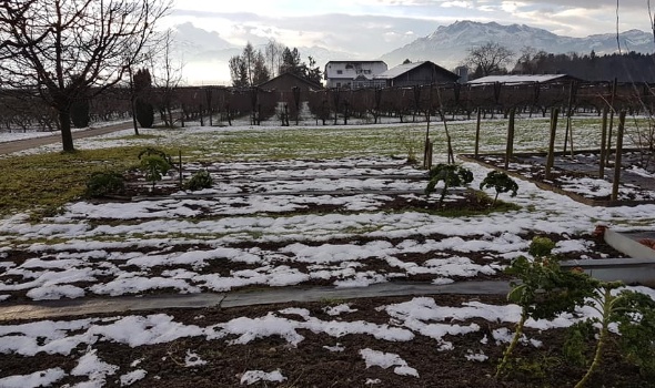 129909365 4179765442050601 6937479500580497752 n