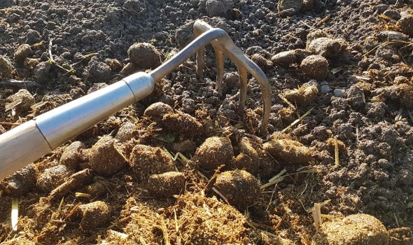 131896640 4218817258145419 4177383002869988012 n