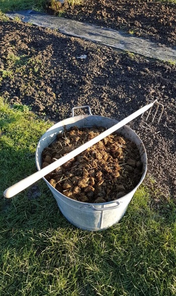 131927512 4218817158145429 5983818908769283117 n