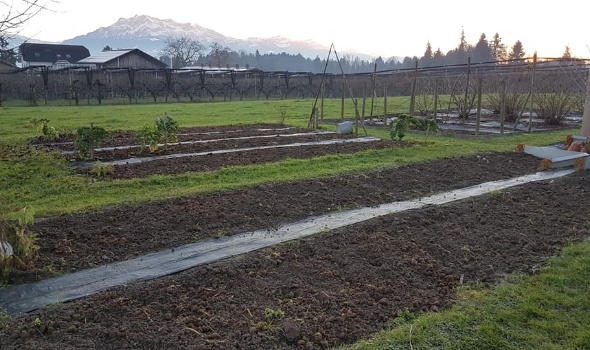 131928200 4218817348145410 1431559224195990702 n 131928200 4218817348145410 1431559224195990702 n