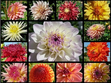 81443326 3237818476245307 8580101844196392960 n 1 81443326 3237818476245307 8580101844196392960 n 1