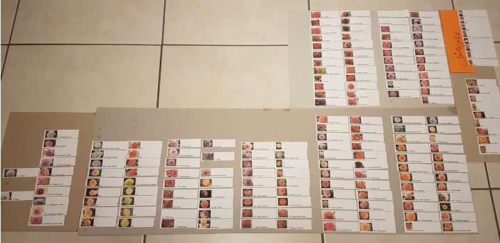 134643031 4263576630336148 2788854908612060564 o 134643031 4263576630336148 2788854908612060564 o