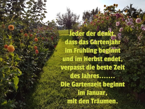 135487706 4262781403749004 4653020344831649343 o 135487706 4262781403749004 4653020344831649343 o