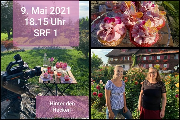 145837191 4345780212115789 529743118476698561 n