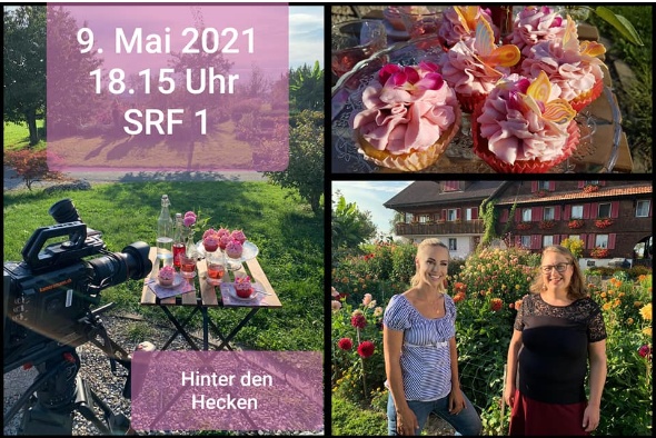 145837191 4345780212115789 529743118476698561 n