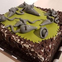 84922140 1552828574868287 293125148515500032 n