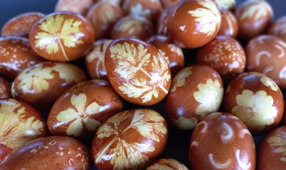 167900366 1933195926831548 4861176322231675890 n