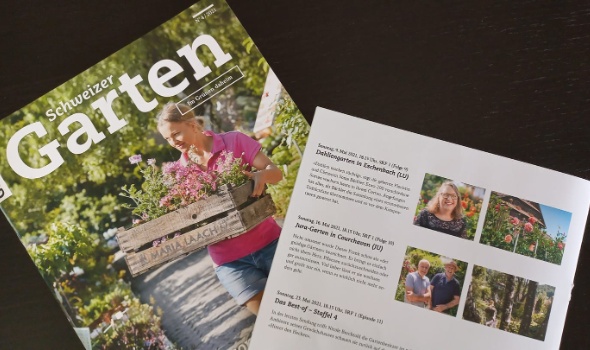 167515927 4519839131376562 3120281522265688351 n 167515927 4519839131376562 3120281522265688351 n