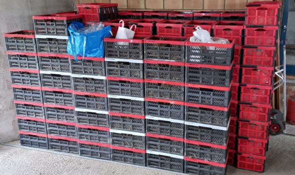 169808153 4531289480231527 6974922562913723755 n 169808153 4531289480231527 6974922562913723755 n