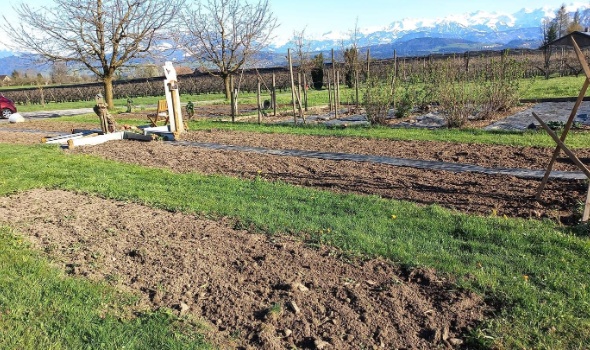 170969352 4541250009235474 884955231289667403 n 170969352 4541250009235474 884955231289667403 n