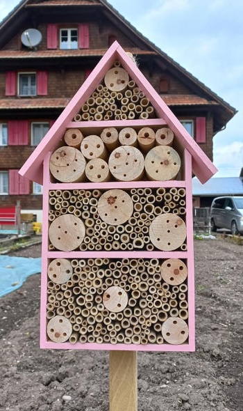 174127598 4562248267135648 192894065561684513 n