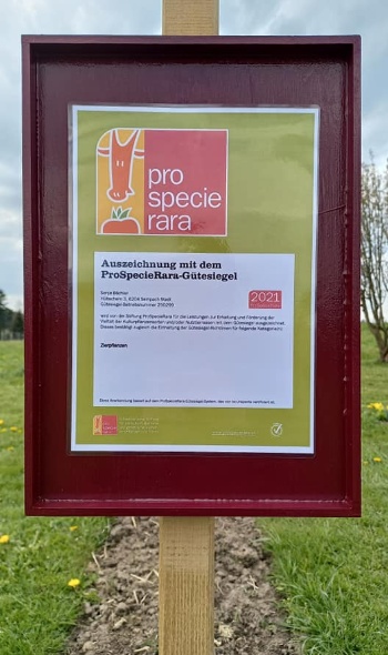 174132032 4562248057135669 432501462988518059 n