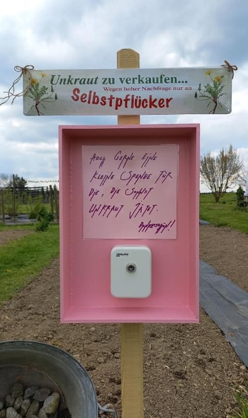 174192845 4562248167135658 2586164960688242089 n