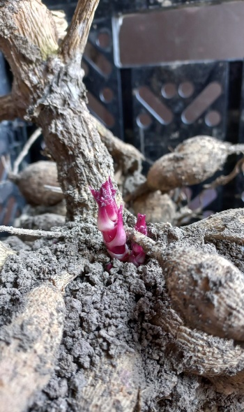 177442265 4582665305093944 2421063234991052022 n 177442265 4582665305093944 2421063234991052022 n