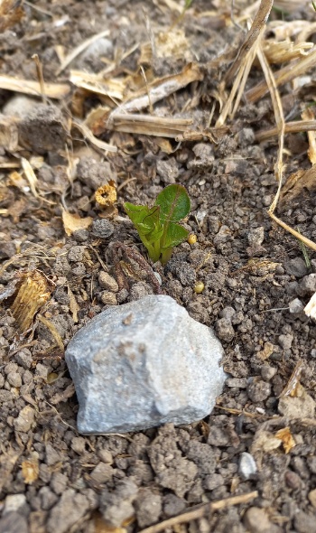 178441852 4594723430554798 123877787912343261 n 178441852 4594723430554798 123877787912343261 n