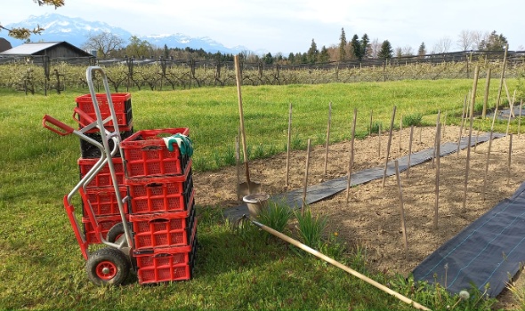 178658388 4594784463882028 7967647917379702300 n 178658388 4594784463882028 7967647917379702300 n