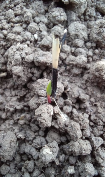 182718341 4622620194431788 5811740154788405936 n 182718341 4622620194431788 5811740154788405936 n