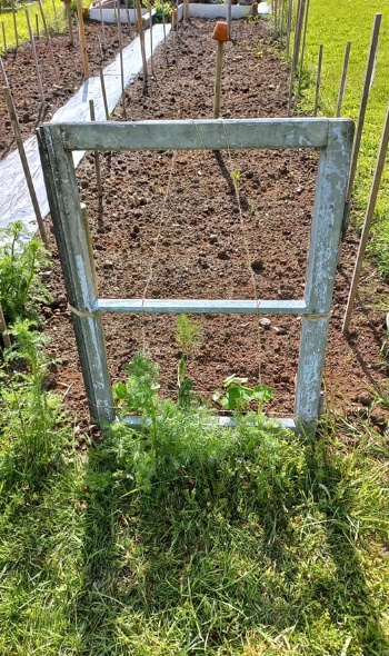 187650014 4671758596184614 5264728772503569041 n 187650014 4671758596184614 5264728772503569041 n