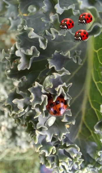 187854352 4660906963936444 5304061782490021735 n 187854352 4660906963936444 5304061782490021735 n