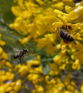 188500387 4674228222604318 1026386513867578481 n 188500387 4674228222604318 1026386513867578481 n