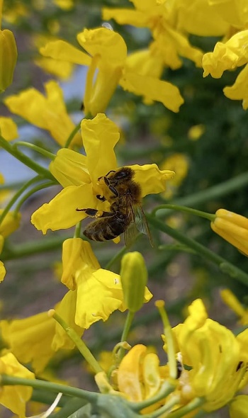 188534864 4674228299270977 3898661787566136739 n