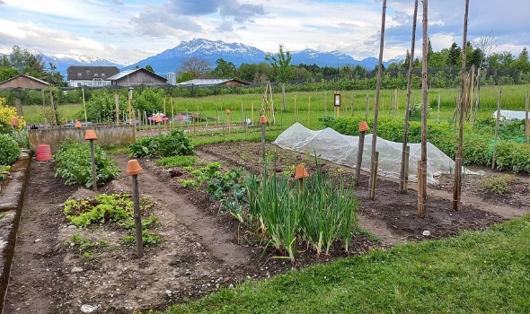 188736901 4680143515346122 8556587898332556646 n 188736901 4680143515346122 8556587898332556646 n