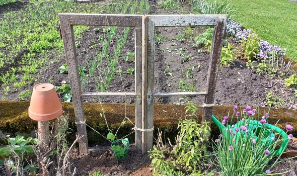 188785730 4671758412851299 1461185326746999384 n